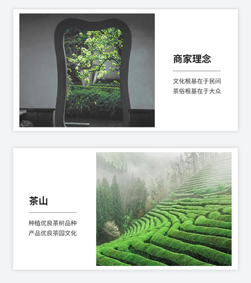 必要商城 大牌品质 工厂价格 重塑茶叶种植新标准