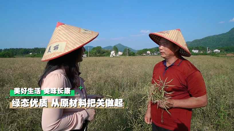 深入工厂一线，这个夏天长康带你去探秘！茶叶种植篇
